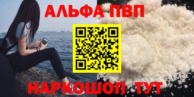 дмт Гай